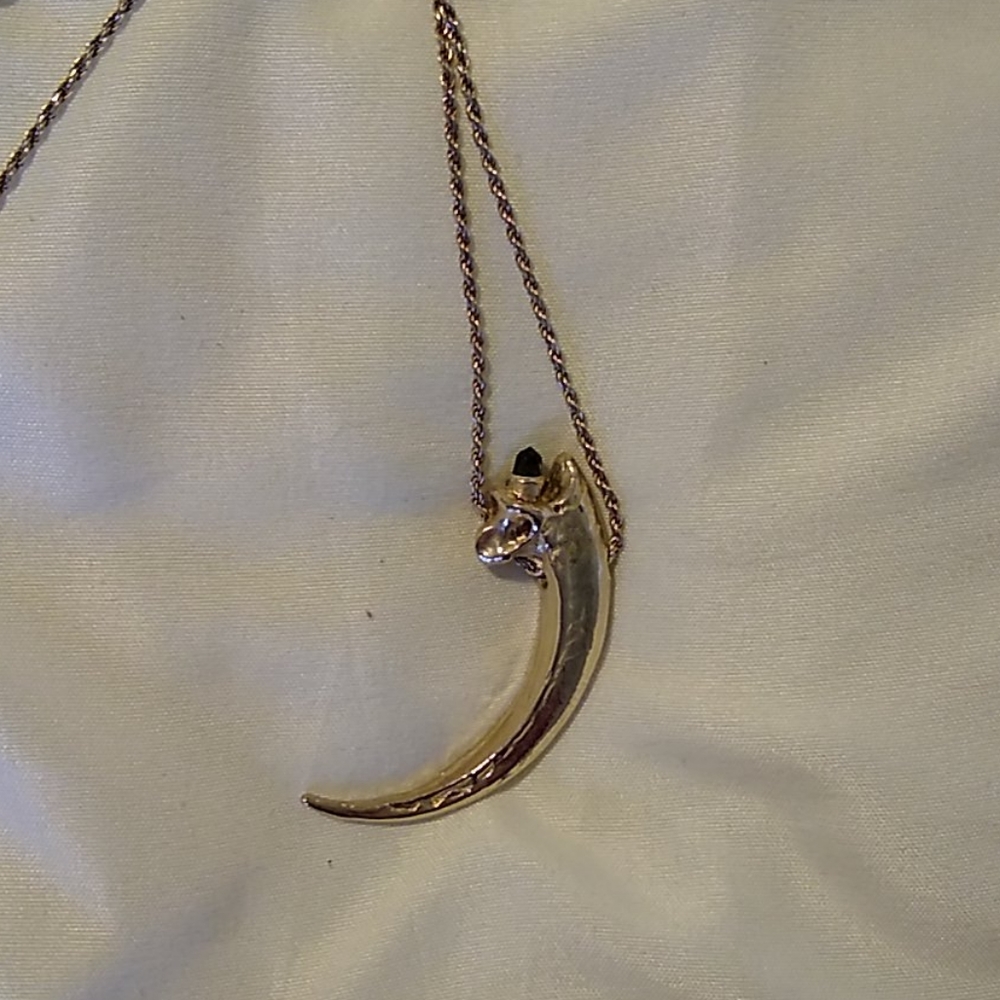 Sterling Silver Claw Necklace